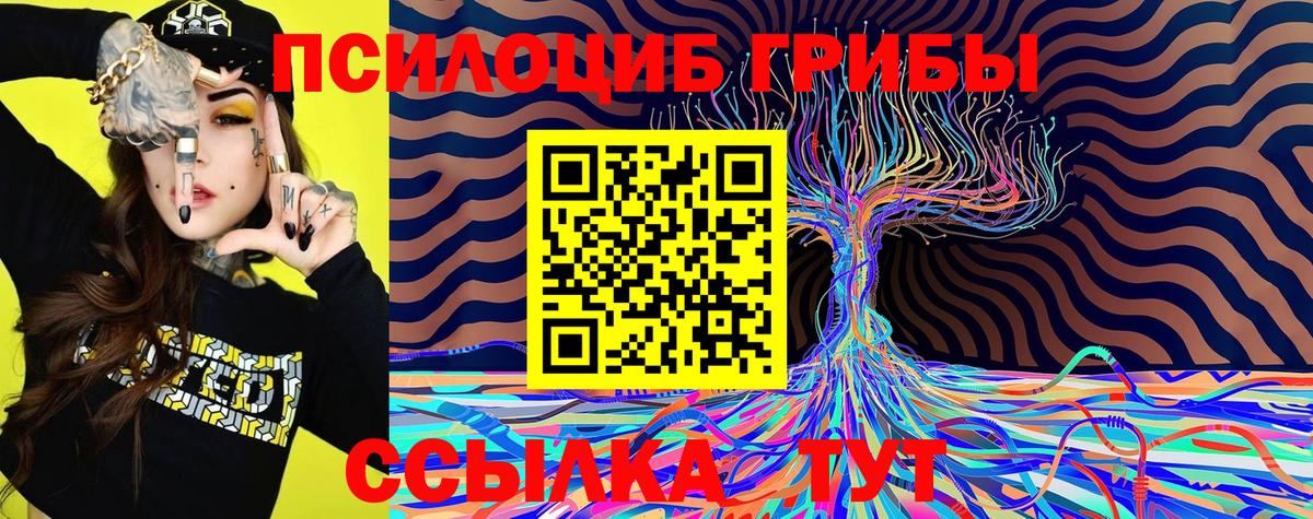 Галлюциногенные грибы Psilocybine cubensis  Вход с VPN  Санкт-Петербург 