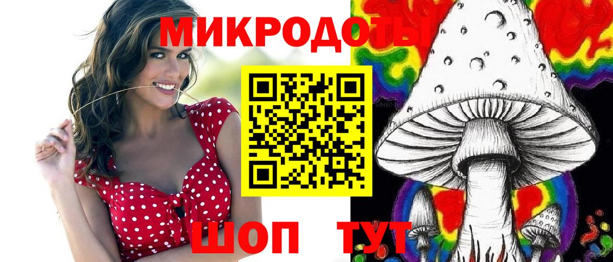 Псилоцибиновые грибы Cubensis Санкт-Петербург