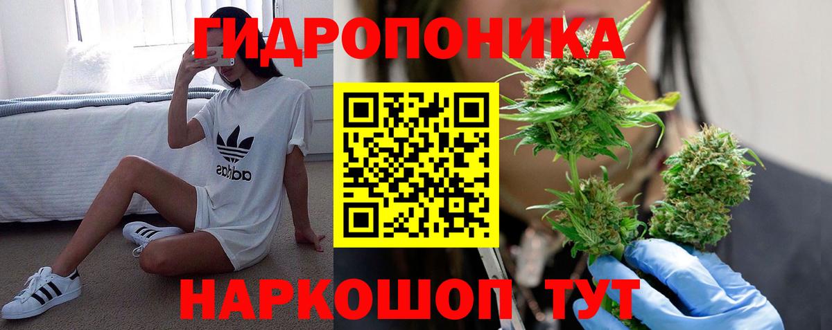 Бошки Шишки семена  Вход с VPN  Санкт-Петербург  Марихуана индика  Конопля MAZAR 